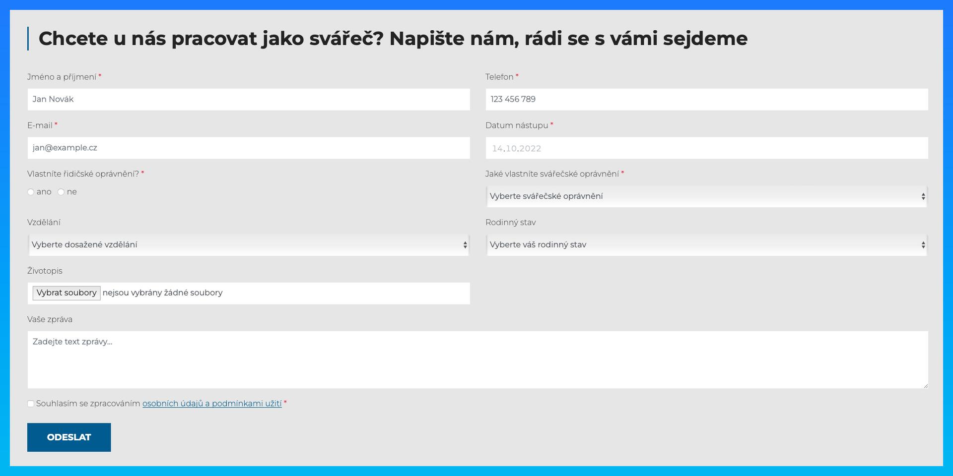 Upravené formuláře na webu WLW group pro nábor nových zaměstnanců